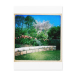 Botanical Series Postcards