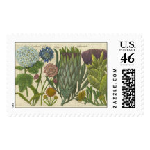 Botanical Stamp