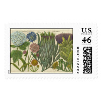 Botanical Stamp by LL11funway Botanical Stamp