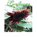 Botanical Sun Flower Tee t-shirts by CaroleArt Botanical Sun Flower Tee t-shirts
