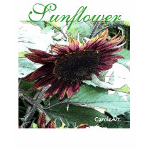 Botanical Sun Flower Tee t-shirts by CaroleArt Botanical Sun Flower Tee t-shirts