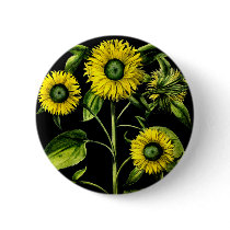 Botanical Sunflowers Button