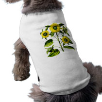 Botanical Sunflowers Dog Shirt pet clothing