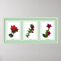 Botanical Trio Floral Poster 2