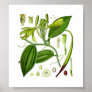Botanical Vanilla Print