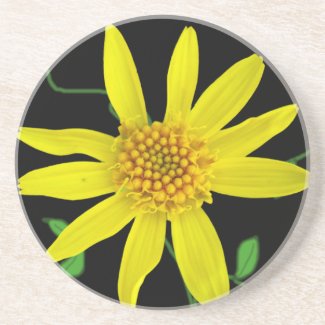 Botanical Yellow Wildflower on any Color