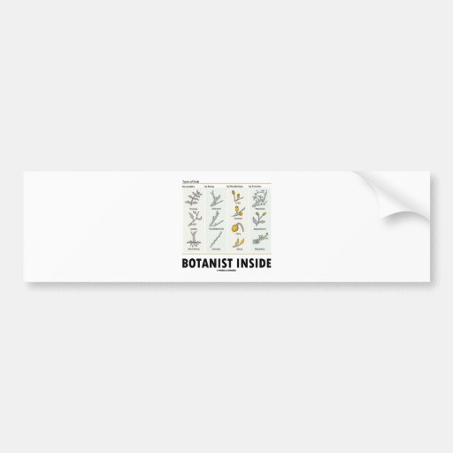 Botanist Inside (Types Of Buds) Bumper Sticker