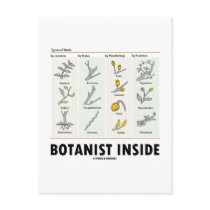 Botanist Inside (Types Of Buds) Post Card