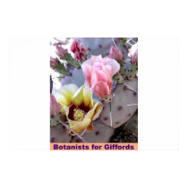 Botânicos para Giffords pôsteres