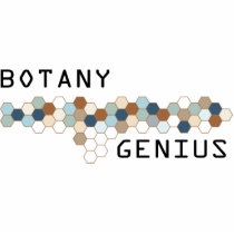 Botany Genius photo sculptures by itsallhot Botany Genius photo sculptures