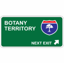 Botany Next Exit photo sculptures by whatitis Botany Next Exit photo sculptures