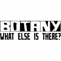 Botany What Else Is There? photo sculptures by busybrain Botany What Else Is There? photo sculptures