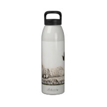 Botella de agua del chica del encanto del vintage