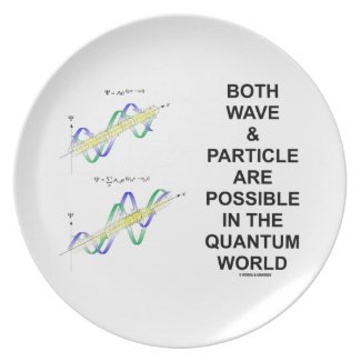 Both Wave & Particle Are Possible In The Quantum Plate