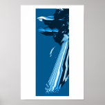 BOTOMM3D posters