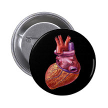 Botón humano del corazón pin