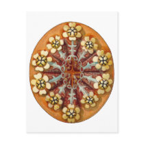 Botrylloides purpureus, Ernst Haeckel postcards