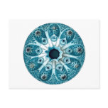Botryllus polycyclus, Ernst Haeckel Post Card