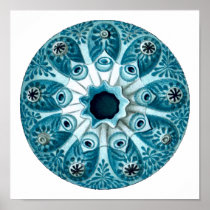 Botryllus polycyclus, Ernst Haeckel Poster
