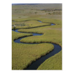 Botswana, Africa. Arial view Okavango river. Postcards