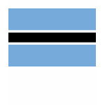 Botswana Flag Map Spaghetti Top
