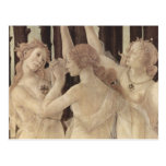 Botticelli's Three Graces Postcard