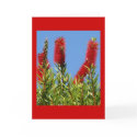 Bottle Brush Beauty cards by Priscilla48 Bottle Brush Beauty cards