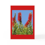 Bottle Brush Beauty cards