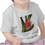 Bottle-Brush Callistemon 8
