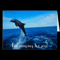 Bottle nose dolphin cards