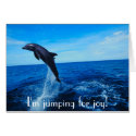 Bottle nose dolphin cards
