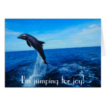 Bottle nose dolphin cards