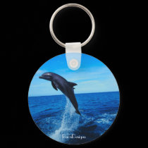 Bottle nose dolphin keychains