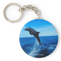 Bottle nose dolphin keychains