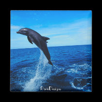 Bottle nose dolphin magnets