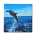 Bottle nose dolphin magnets