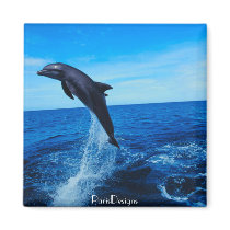 Bottle nose dolphin magnets