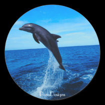 Bottle nose dolphin stickers