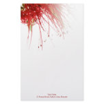 Bottlebrush Flower Stationery