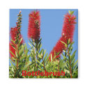 Bottlebrush magnets by Priscilla48 Bottlebrush magnets