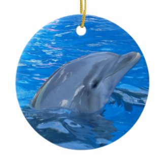 Bottlenose Dolphin Ornament ornament