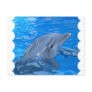 Bottlenose Dolphin Postcard