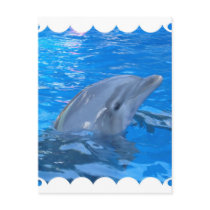 Bottlenose Dolphin Postcard