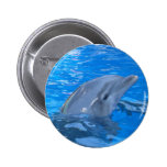 Bottlenose Dolphin Round Pin buttons