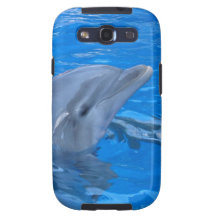 Samsung Dolphin