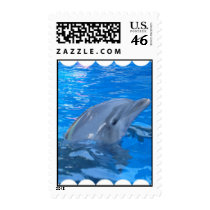 Bottlenose Dolphin Stamp