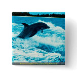 Bottlenose dolphin (Tursiops truncatus), Bahama Is Pinback Button