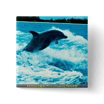 Bottlenose dolphin (Tursiops truncatus), Bahama Is Pinback Button