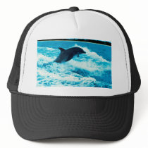 Bottlenose dolphin (Tursiops truncatus), Bahama Is Hats