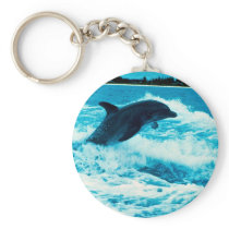 Bottlenose dolphin (Tursiops truncatus), Bahama Is Key Chain